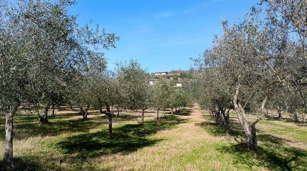 Casale San Pietro Acomodação com café da manhã Anagni Exterior foto